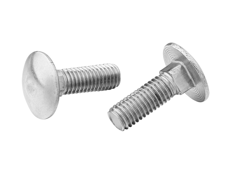 Carriage screw